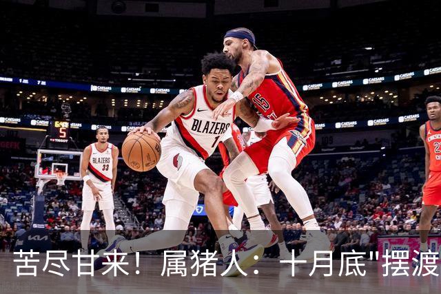 苦尽甘来！属猪人：十月底"摆渡人"悄然降临