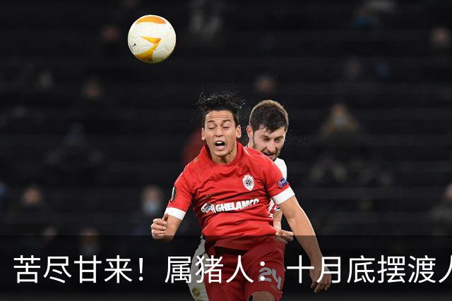 苦尽甘来！属猪人：十月底"摆渡人"悄然降临